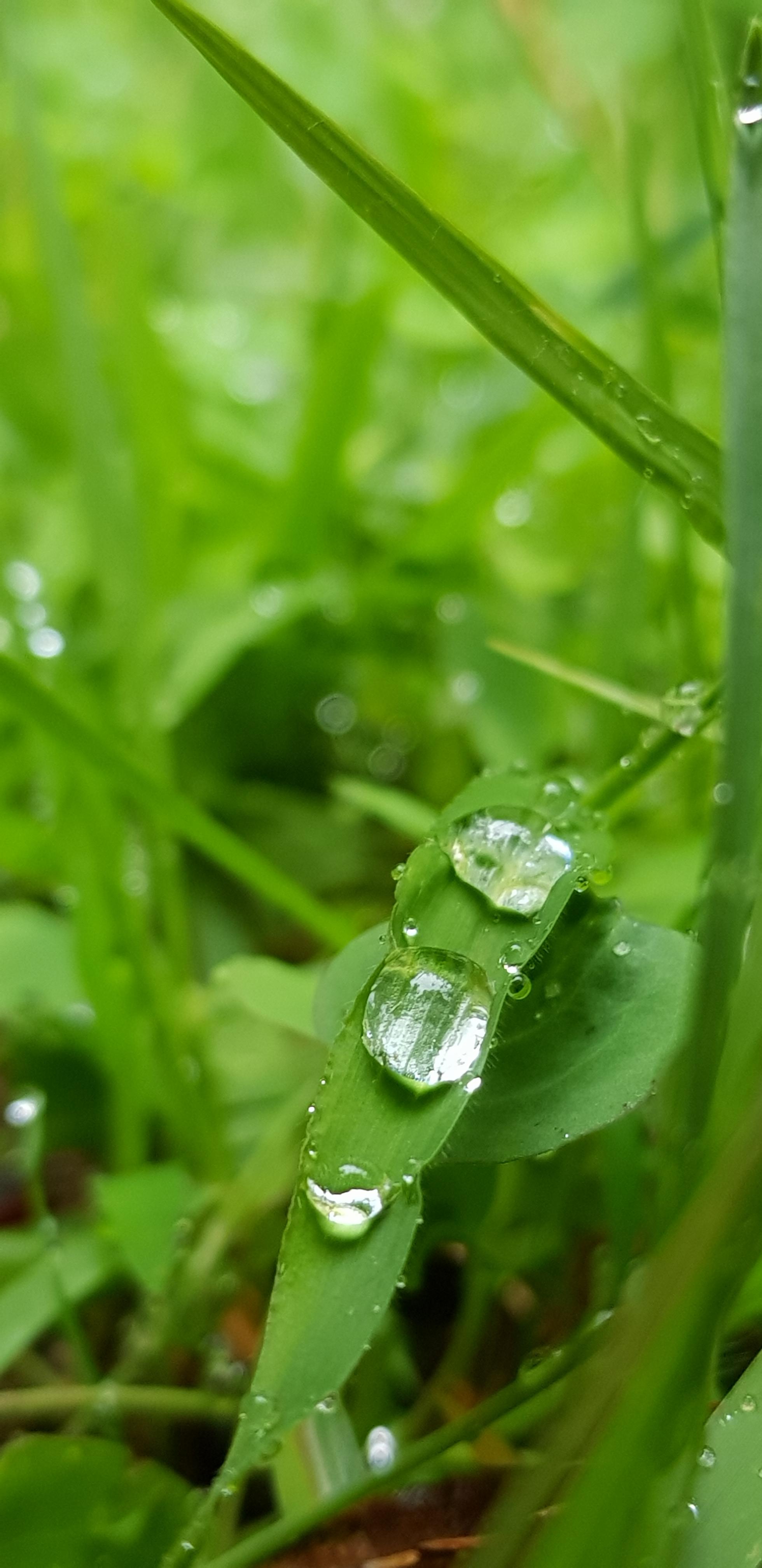20190607_073145.jpg