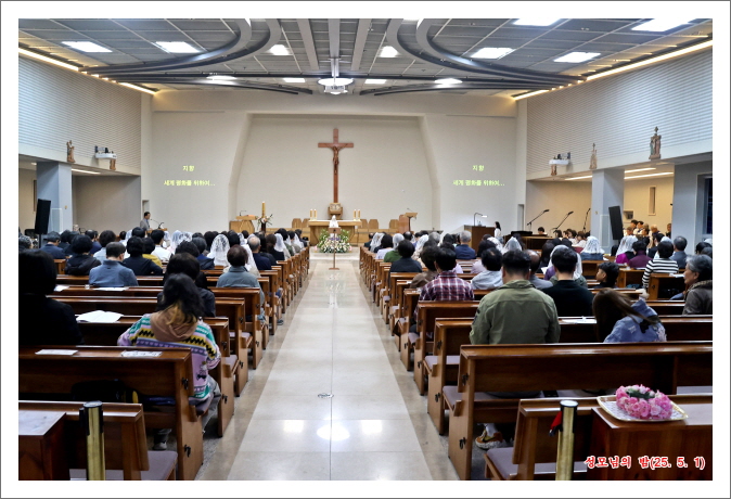 [꾸미기]IMG_5525.JPG