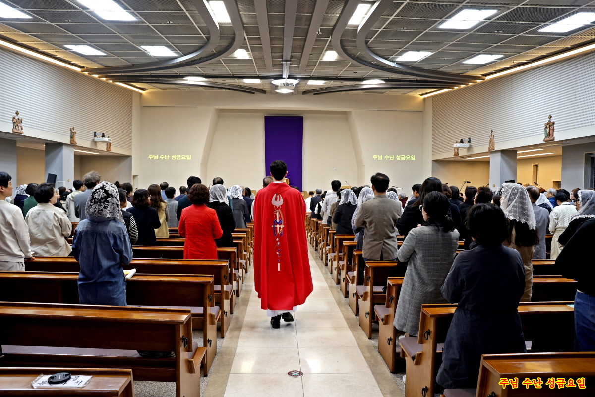 본당사진갤러리 - 25년 주님수난 성금요일 [ 십자가 경배 ] 남양산성당