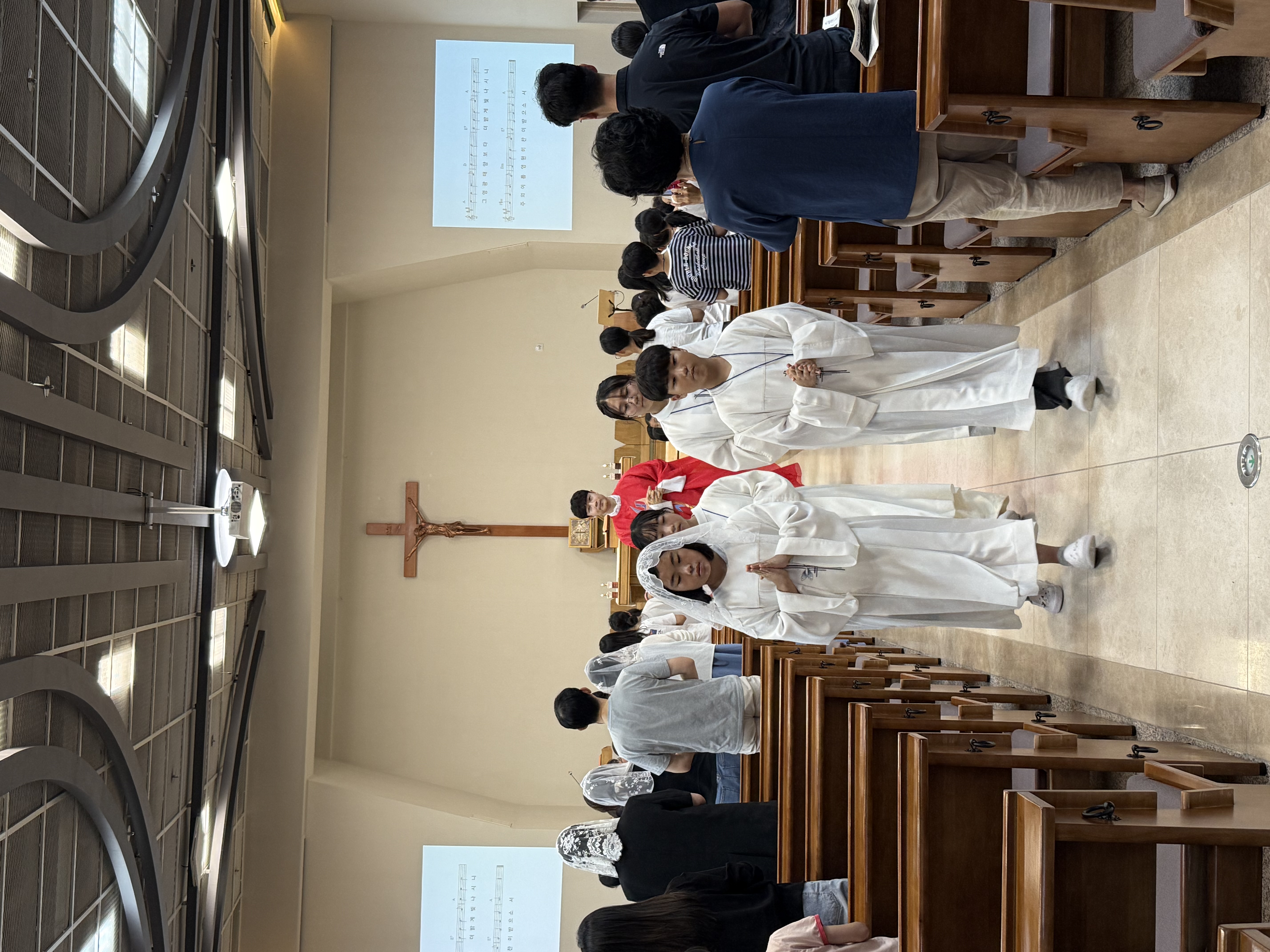 IMG_2997.jpeg