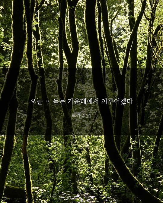 KakaoTalk_20220122_202519208.jpg