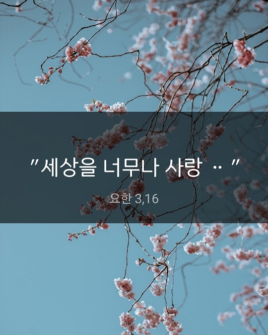 KakaoTalk_20230605_161957966.jpg