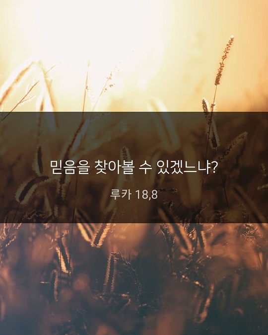 KakaoTalk_20221021_181232865.jpg