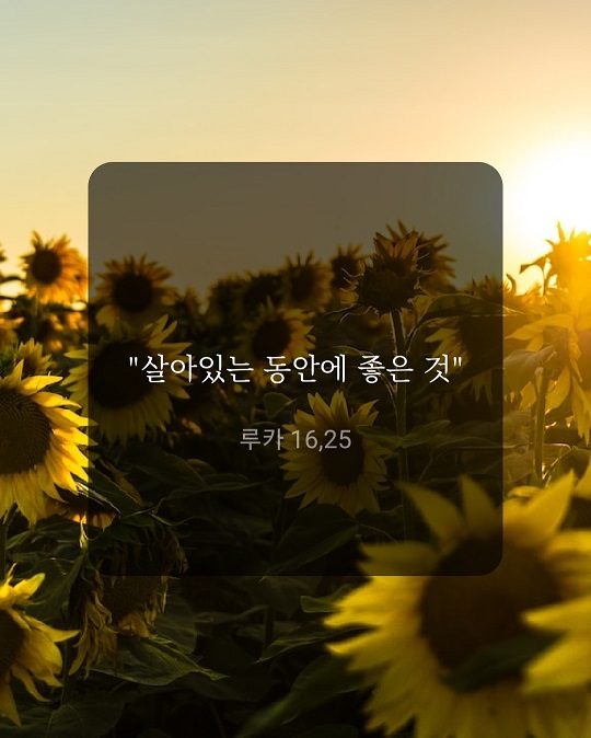 KakaoTalk_20220929_220302112.jpg
