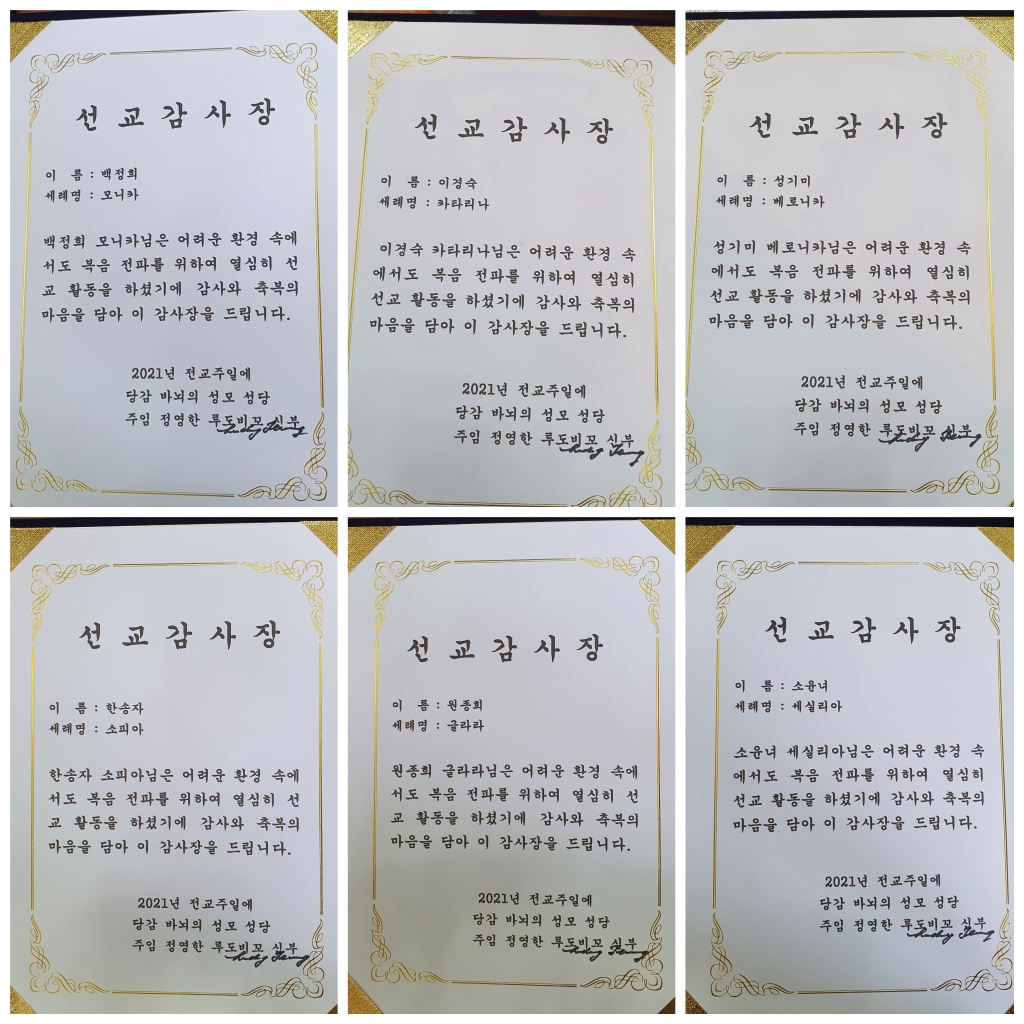 1637670522220-16.jpg