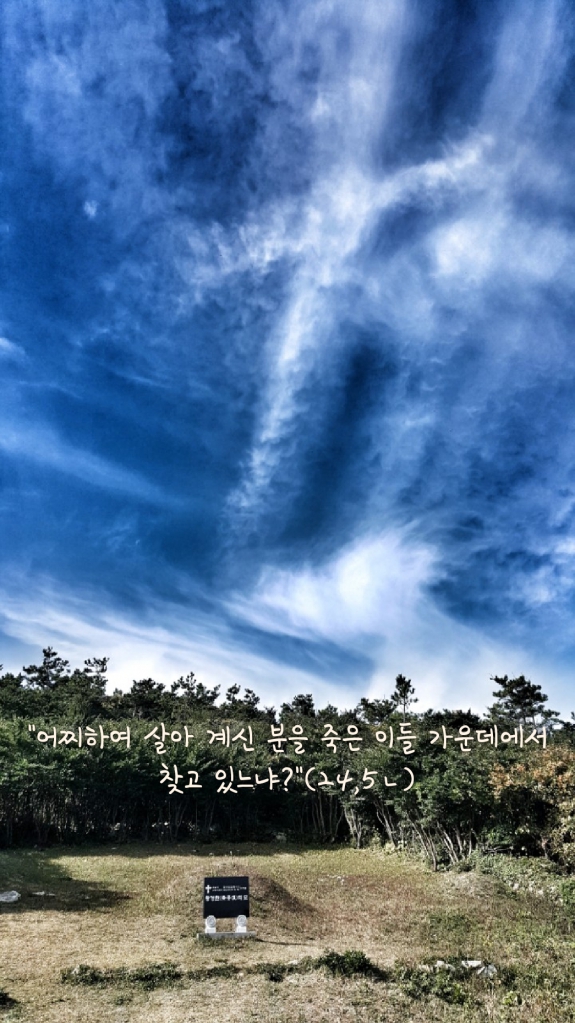 20220413121829.jpg