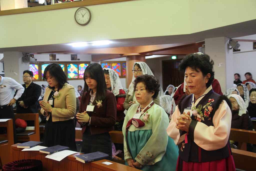 resize_IMG_7468.JPG