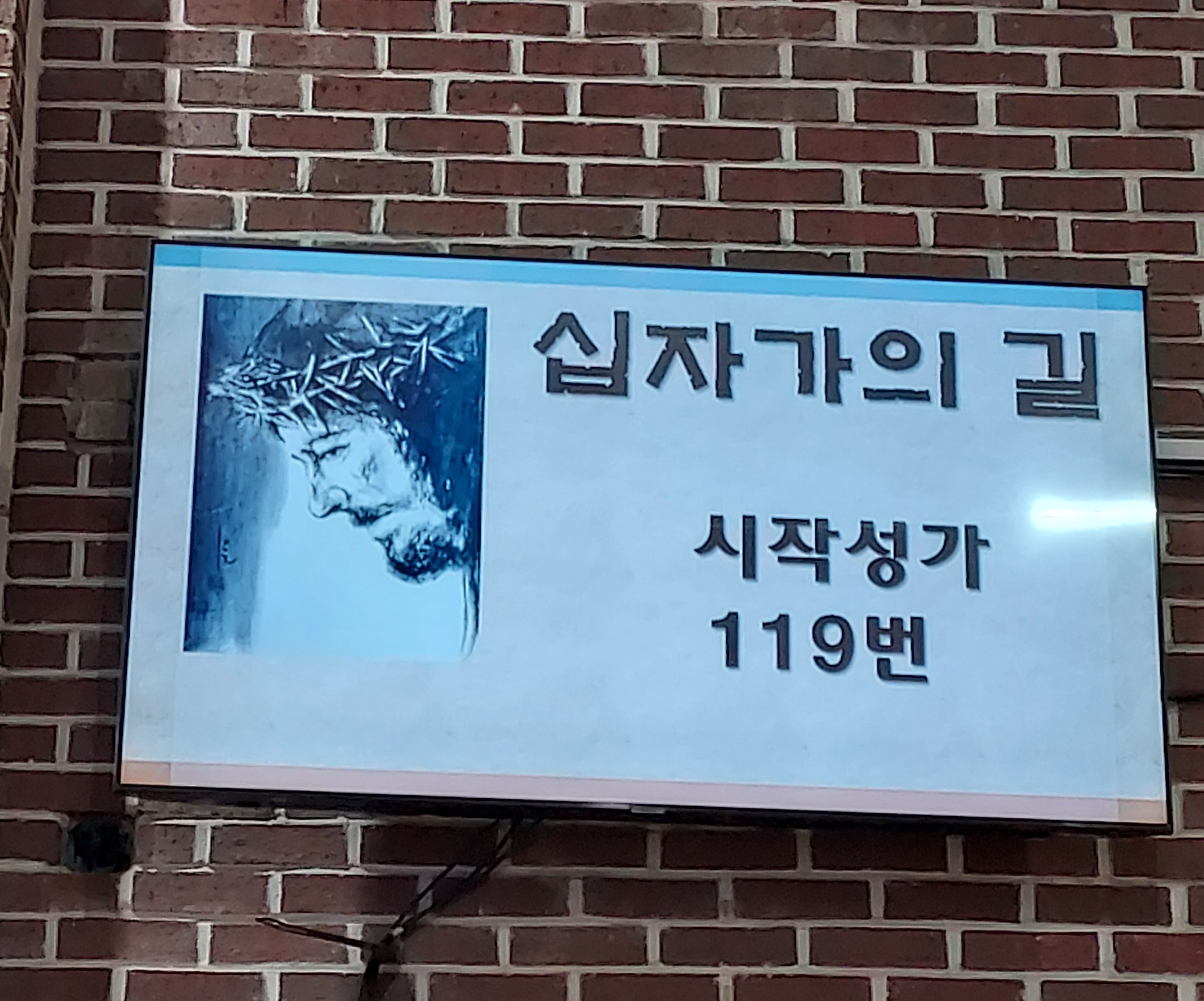1680853655767.jpg
