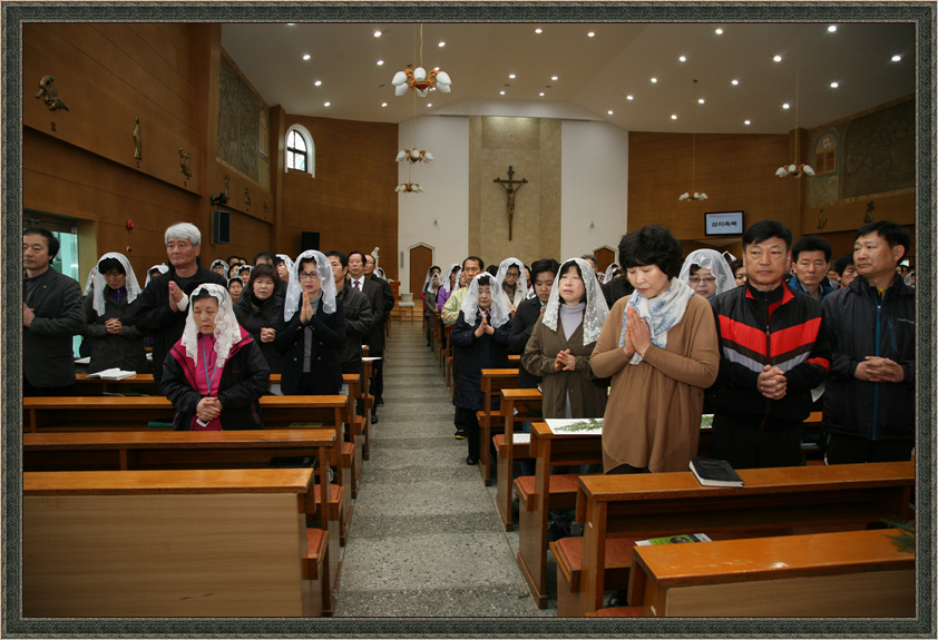 IMG_9487.jpg