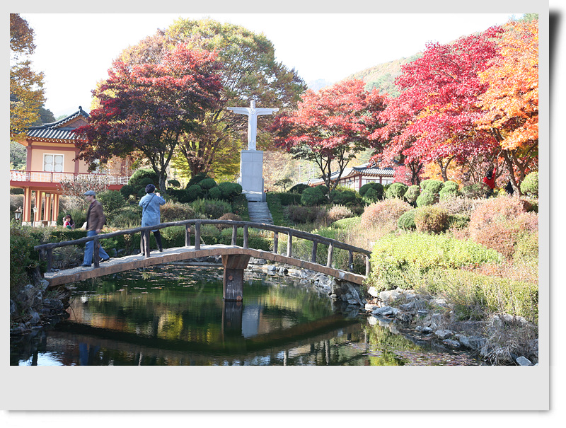 본당사진앨범 - 40주년기념 본당의날 성지순례(뱌론성지 2024-11.03) 야음성당