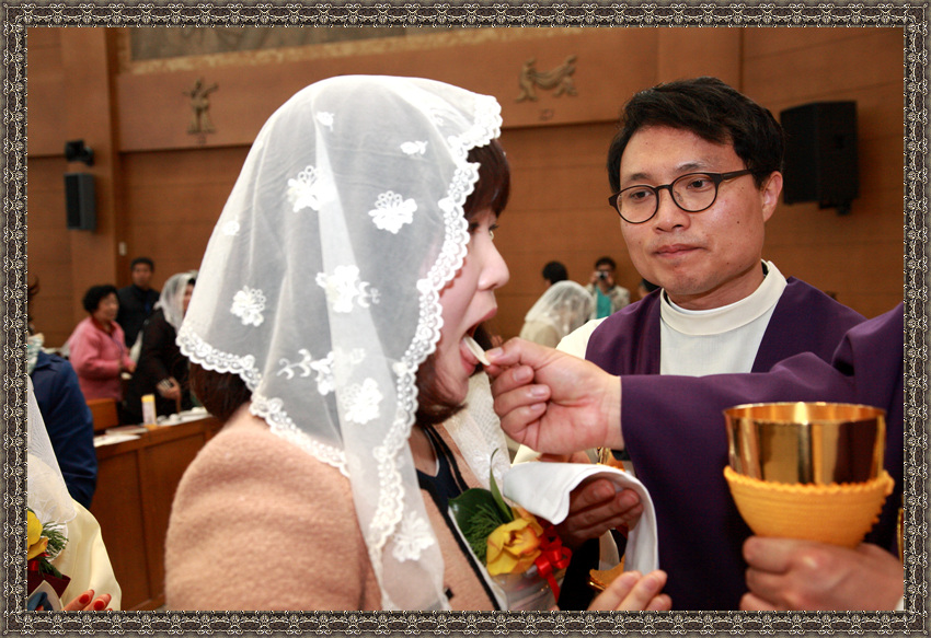 IMG_1833.jpg
