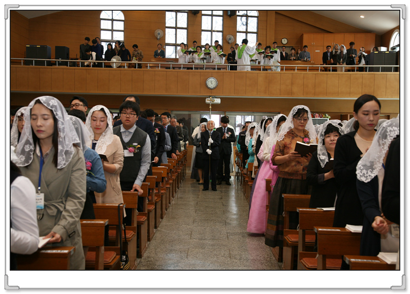 IMG_3016.jpg