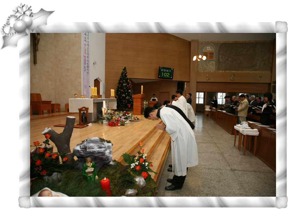 IMG_4649.jpg
