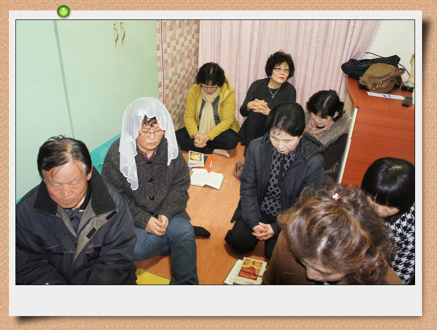 DSC04517.jpg