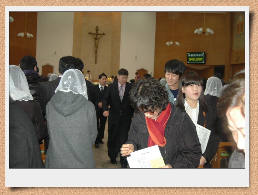 DSC_4781.jpg