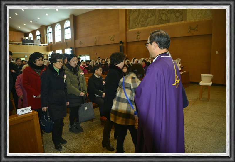 _DSC3002_resized_1.jpg