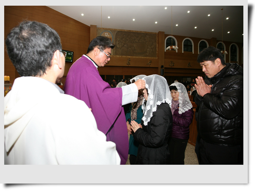 IMG_6181.jpg