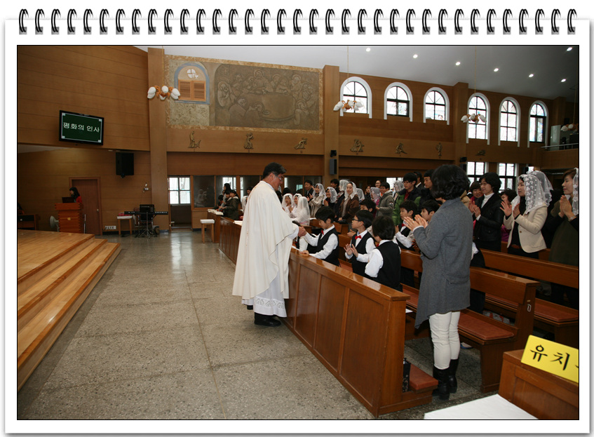 IMG_6463.jpg