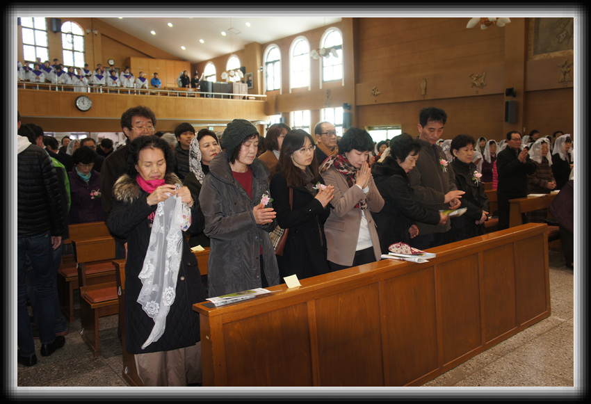 DSC07176.jpg