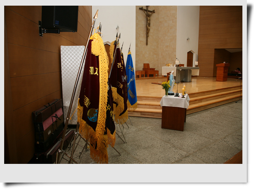 IMG_6557.jpg