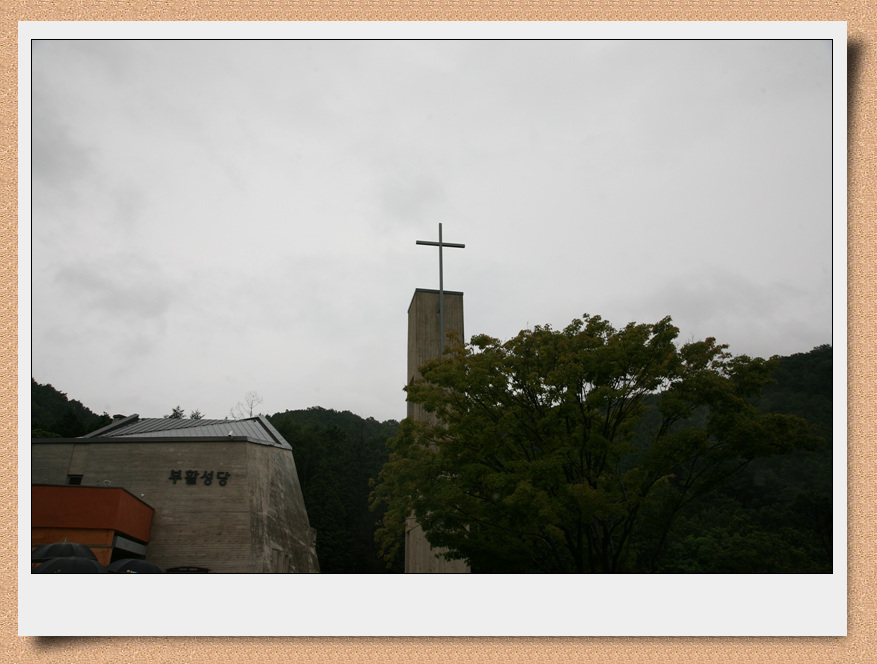 IMG_7614.jpg