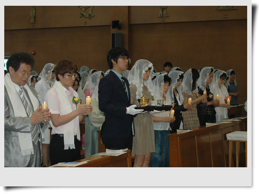 DSC_6565.jpg