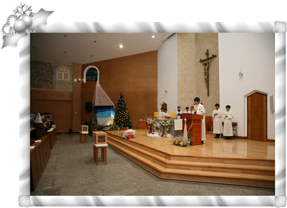 IMG_8782.jpg