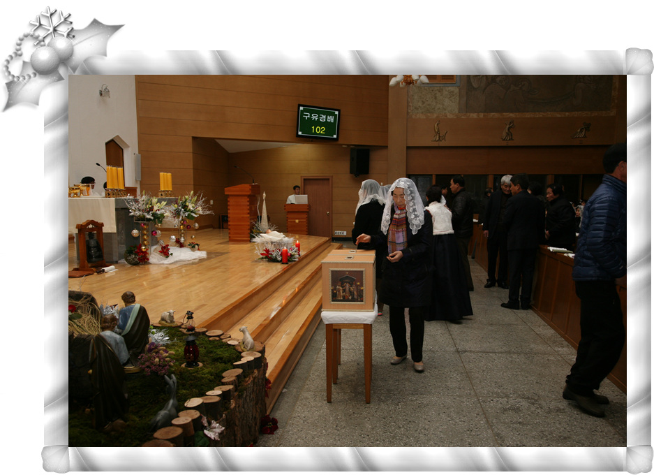 IMG_8804.jpg
