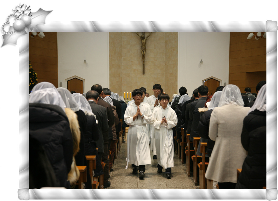 IMG_8893.jpg