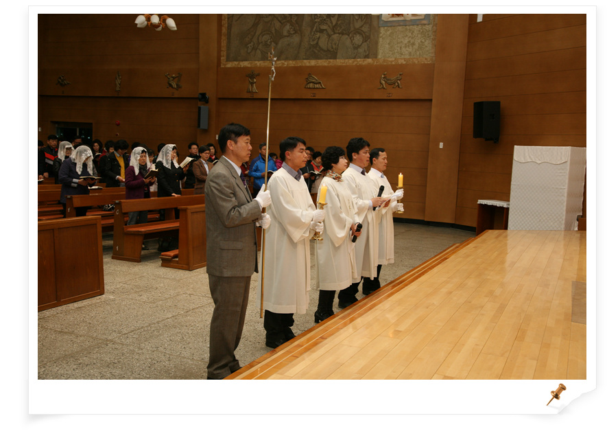 IMG_9278.jpg
