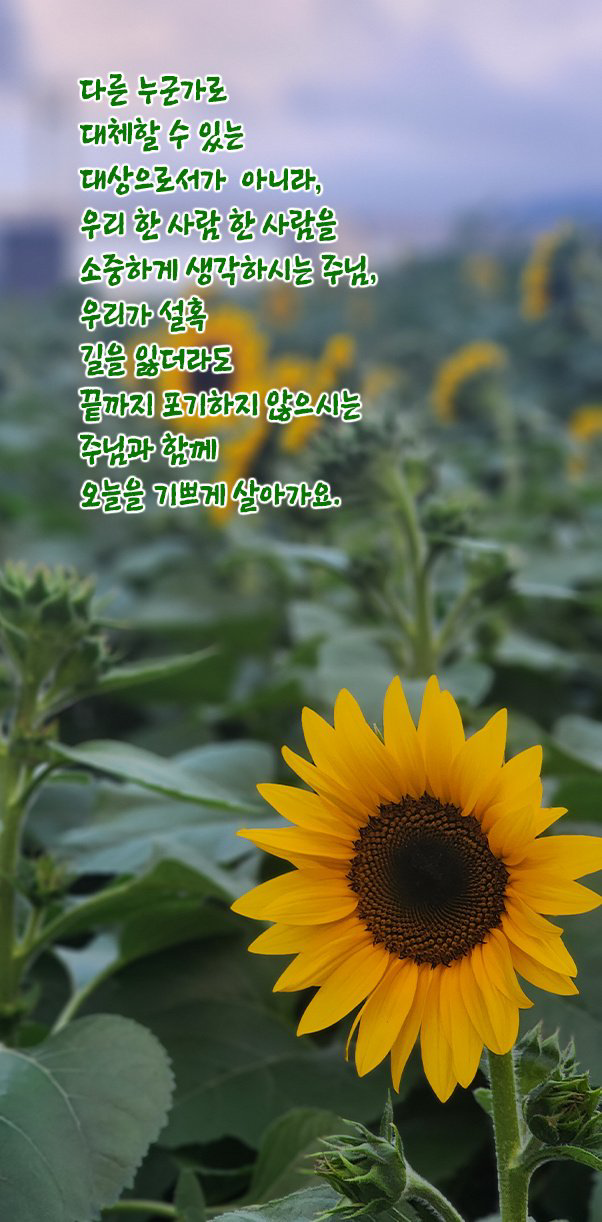 IMG_0285.png