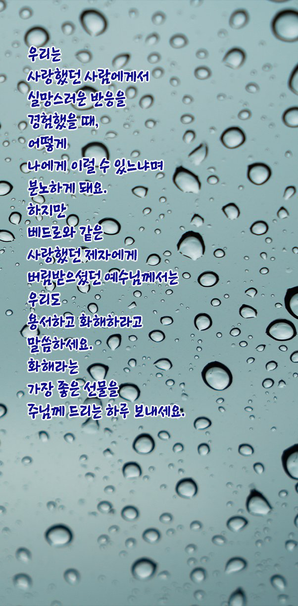 IMG_0286.png