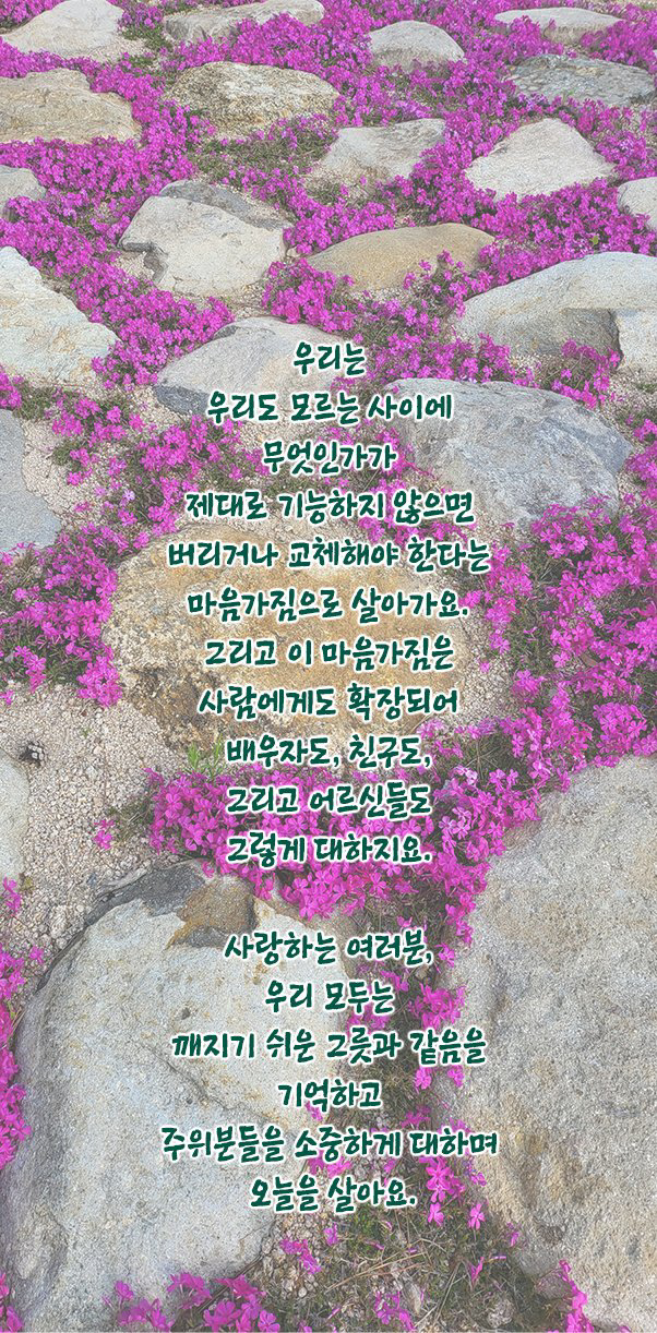 IMG_0290.png