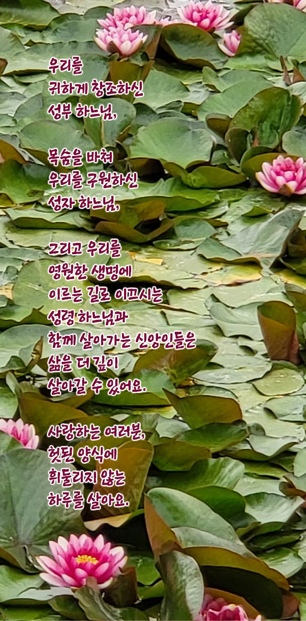 IMG_0291.png