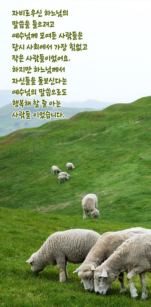IMG_0288.png