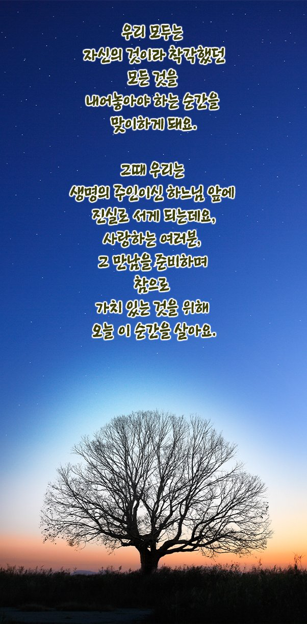 IMG_0287.png