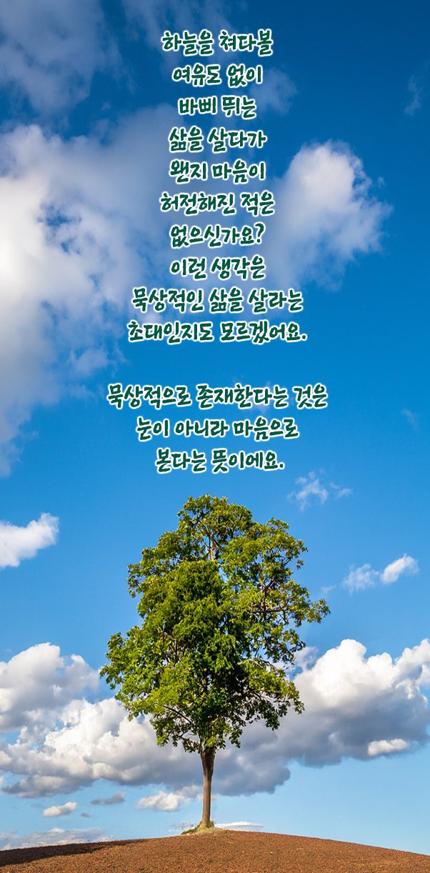 IMG_0289.png