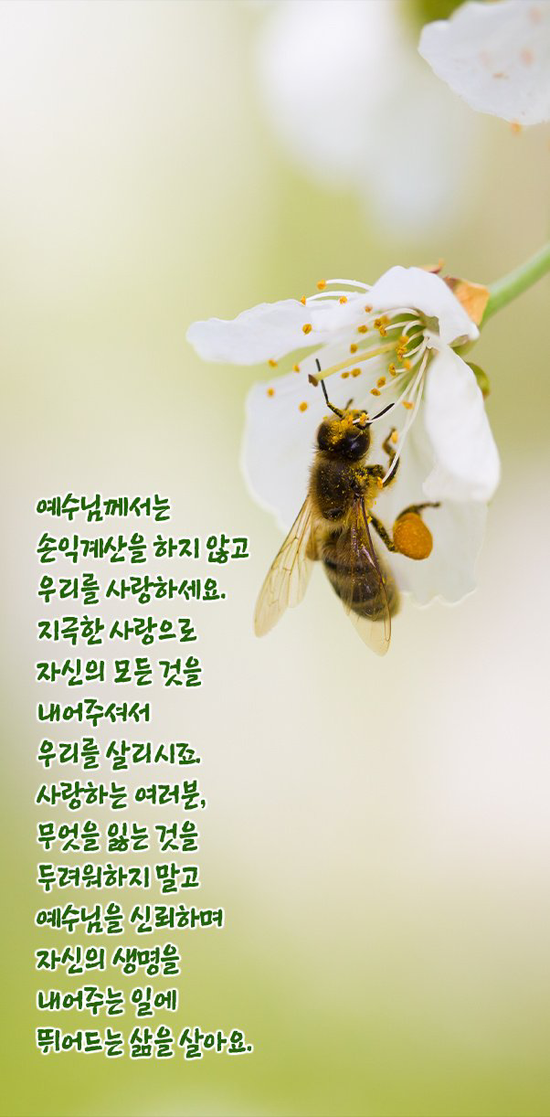 IMG_0292.png