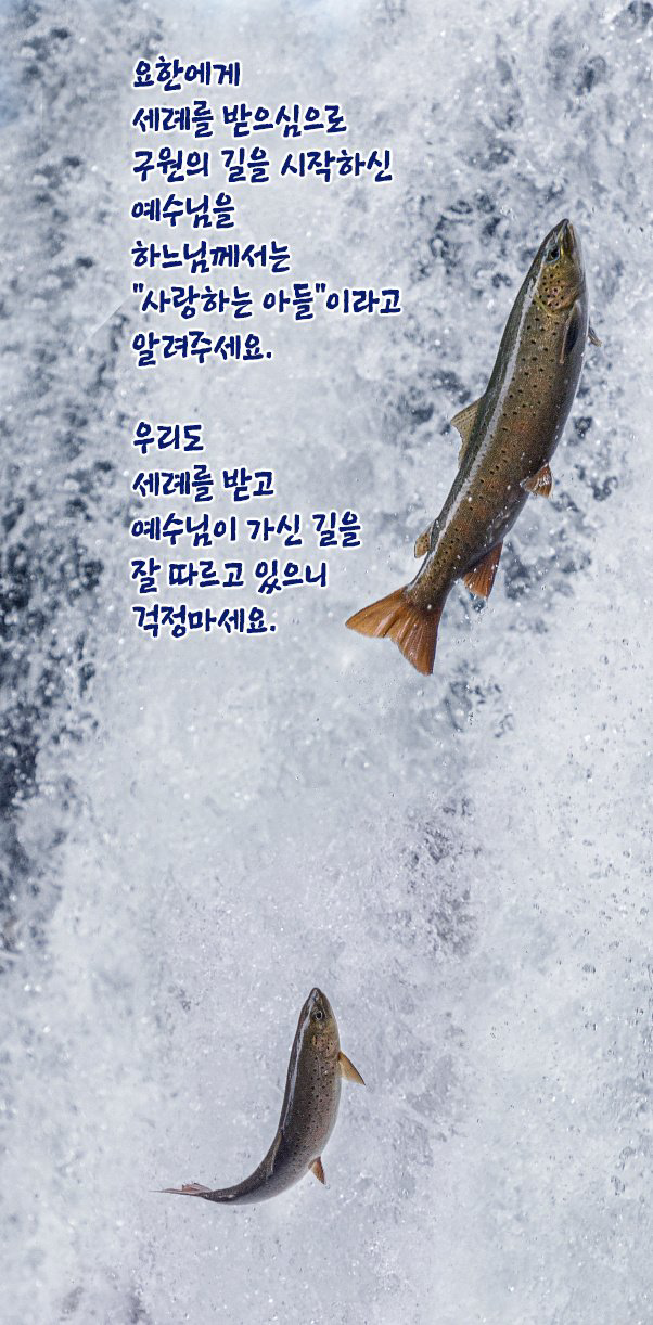 IMG_2678.png
