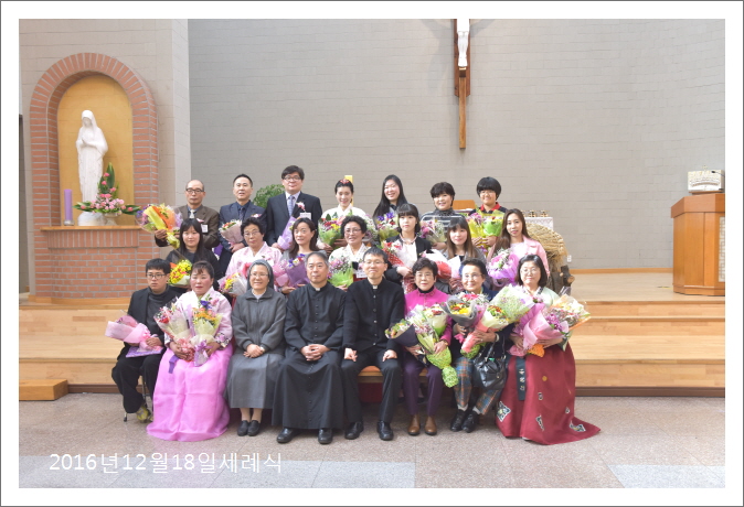 꾸미기벗꽃DSC_5131.JPG