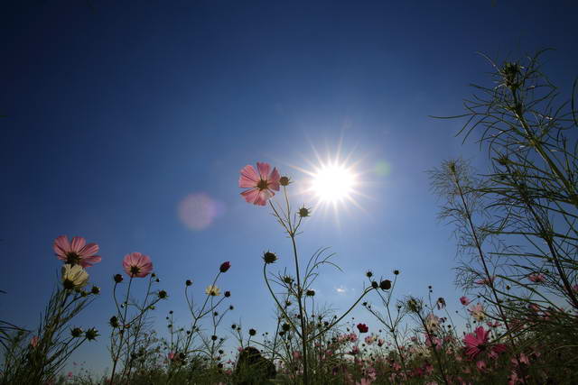 140928_resize.JPG