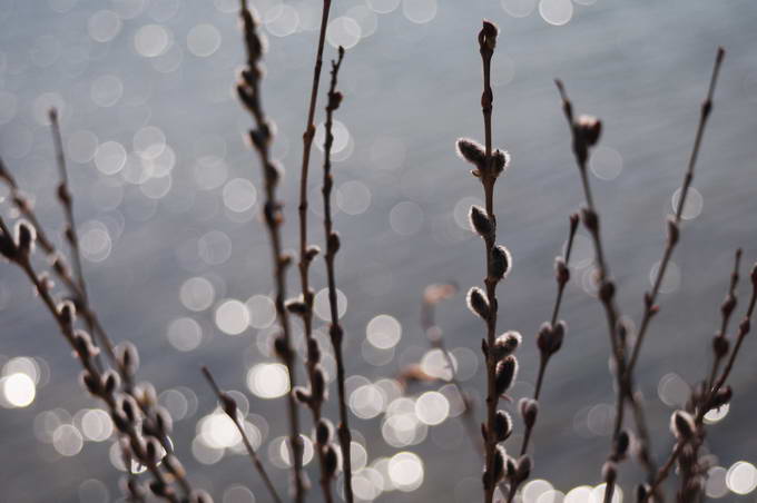 0429정숙녀_resize.jpg