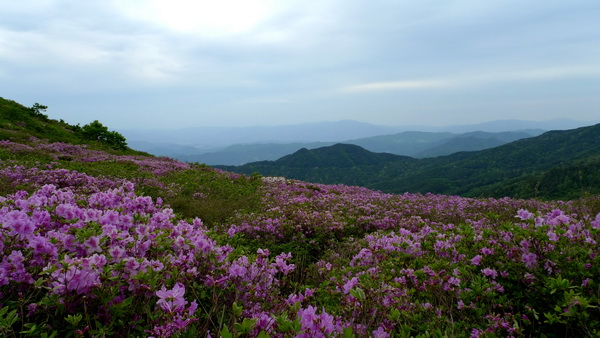0612최순여_resize.JPG