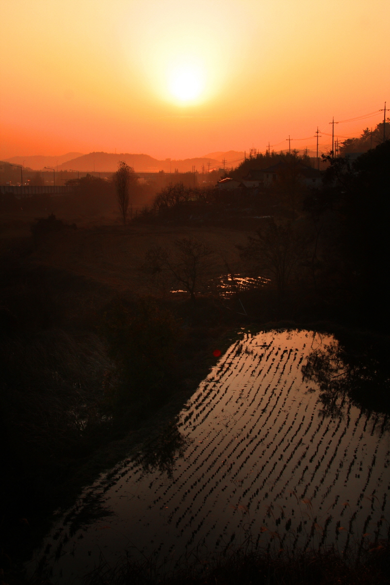 크기변환_0101금원섭.jpg
