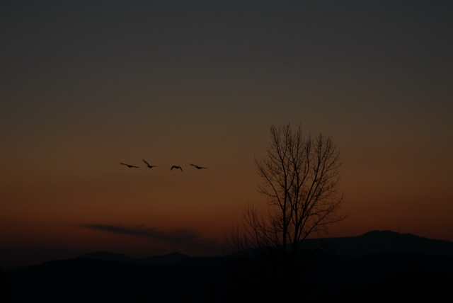 0321이상화-1_resize.JPG