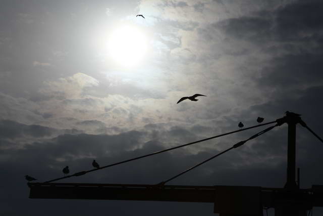 130317가사협_울산출사_267_resize.jpg