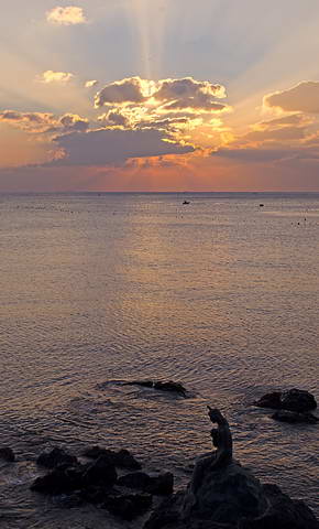 140112_resize.jpg
