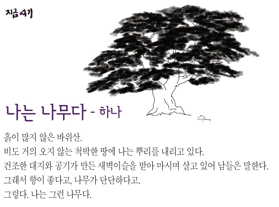 나는 나무다.jpg