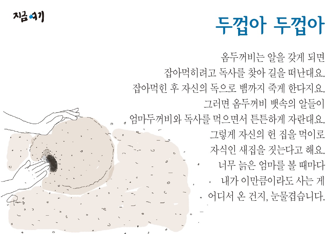 두껍아두껍아.jpg