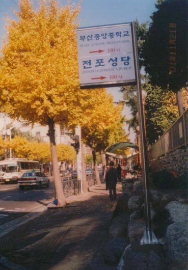 건물2000009.jpg